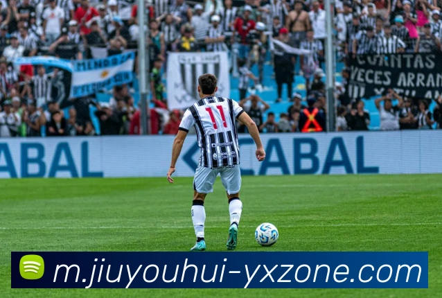 互动解说服务